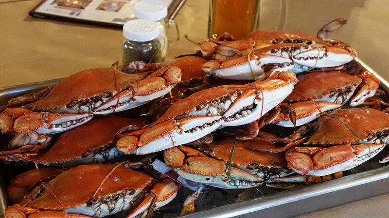 Pile of crabs on a tray